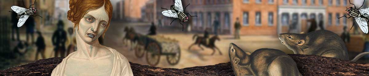 A Gross & Gory Tour of Old Toronto